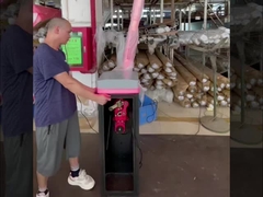 مکانیسم موتور بدون برس 24 ولت DC برای دروازه مانع HCW پارکینگ برای امنیت دروازه هوشمند